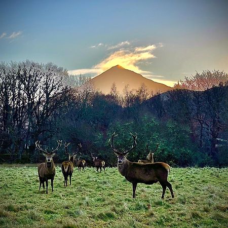 Loch Rannoch Highland Club Βίλα Kinloch Rannoch Εξωτερικό φωτογραφία