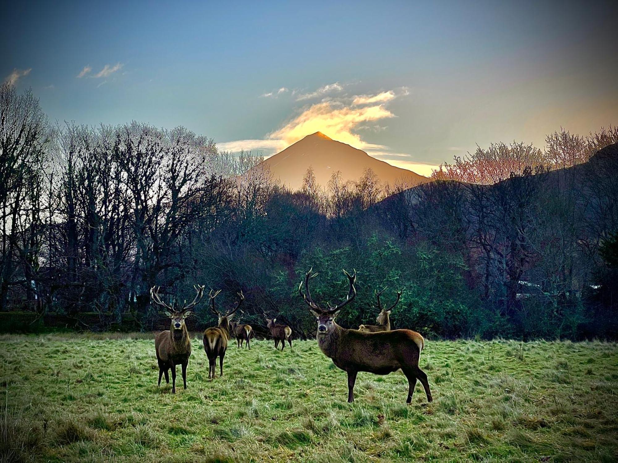 Loch Rannoch Highland Club Βίλα Kinloch Rannoch Εξωτερικό φωτογραφία